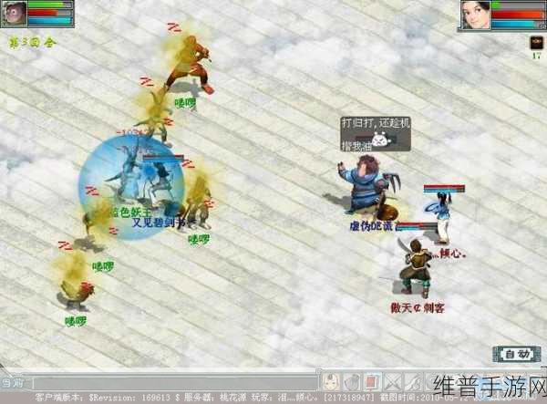 大话西游手游水灵仙加点全攻略,打造你的水系法术大师