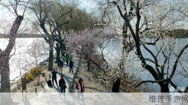 大地资源网高清免费播放:1. 大地资源网:畅享高清影视盛宴,无需等待