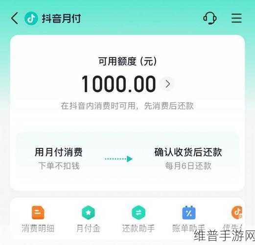 抖音月付在手游支付中的常见问题及解决方案