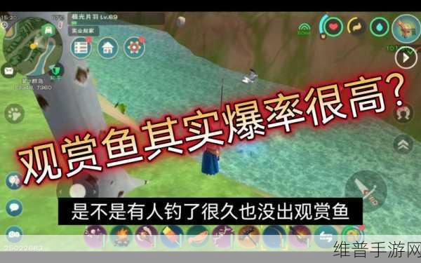 创造与魔法钓鱼成就全攻略，解锁钓鱼乐趣，成就满满收获