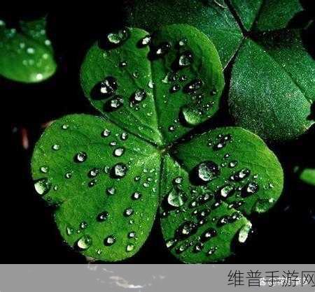 gw4411三叶草：当然可以！以下是一些基于GW4411三叶草的扩展标题建议：