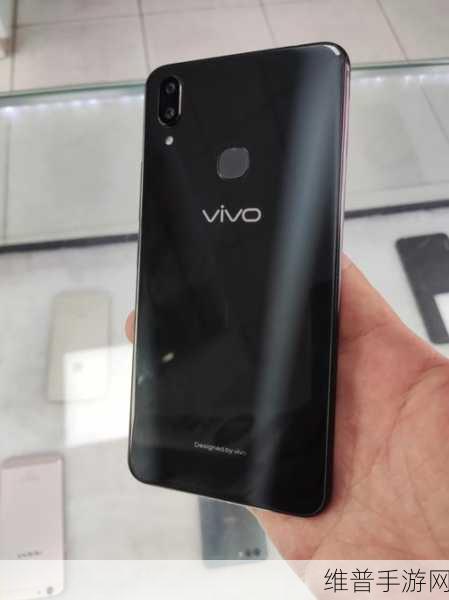 欧美另类VIVOX21老少配:1. 老少配的浪漫:VIVOX21带来的新体验