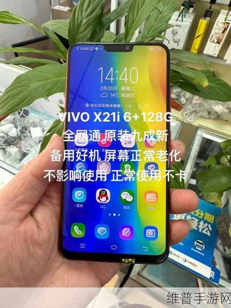 欧美另类VIVOX21老少配:1. 老少配的浪漫:VIVOX21带来的新体验