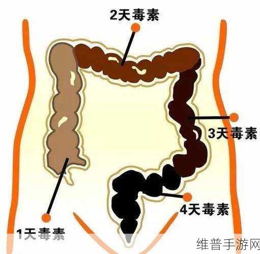 爷爷帮小蝶排阴毒怎样排出来:1. 爷爷教小蝶如何排除体内阴毒