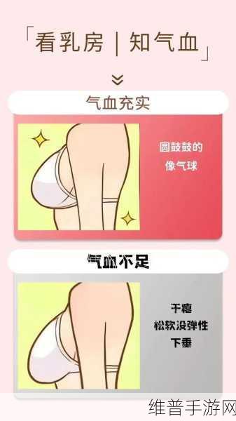 小肚子灌得鼓鼓：1. 小肚子鼓得像个气球，竟藏着这些秘密！