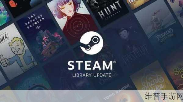 手机Steam取消所有设备授权,保障手游账号安全的必备攻略
