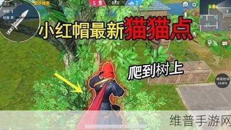 和平精英小红帽与大灰狼打法深度解析