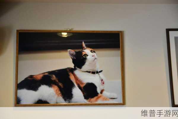 ZOOMSERVO兽站长推:1. ZOOMSERVO兽站长解析:如何高效拓展你的网络影响力