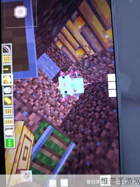 我的世界手游，探寻美西螈的生成之地