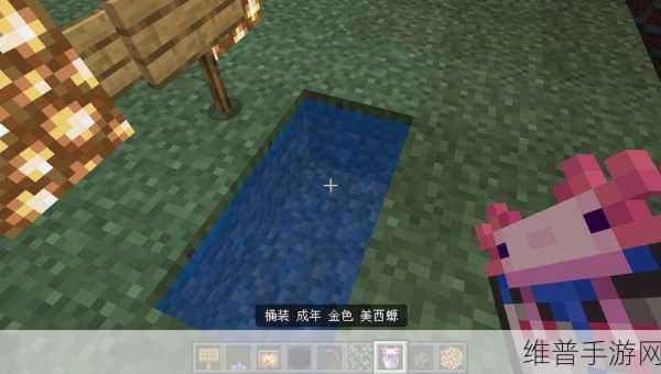 我的世界手游，探寻美西螈的生成之地