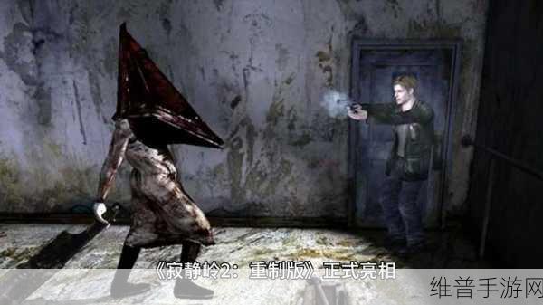 探索寂静岭 2 手游之谜，疑难问题全解析