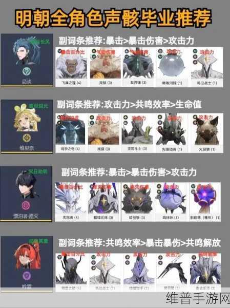 鸣潮相里要声骸深度解析与致胜策略