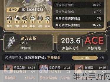 鸣潮相里要声骸深度解析与致胜策略