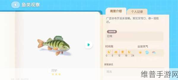 心动小镇出海钓鱼全攻略，你想知道的都在这！