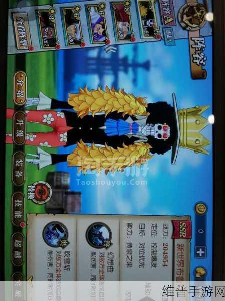 航海王热血航线，新世界弗兰奇技能深度剖析与强度评估