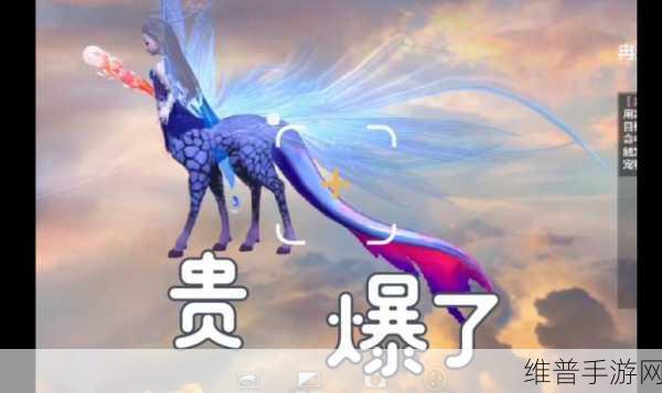 妄想山海，获取养殖鱼苗的全面指南