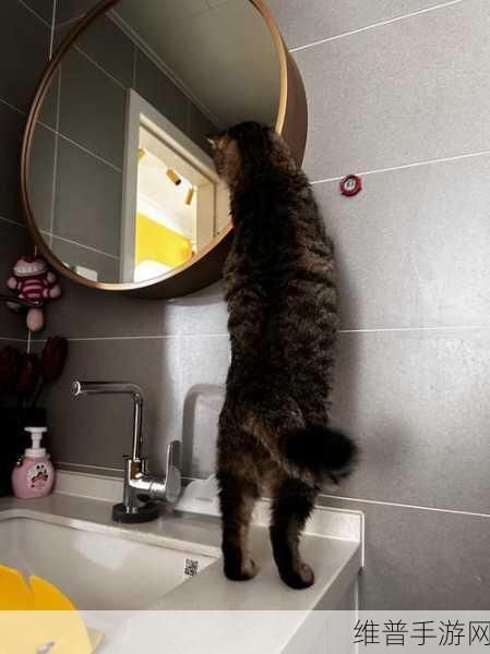 对镜子看我们的结合处：1. 镜中映像：探索自我与现实的交汇