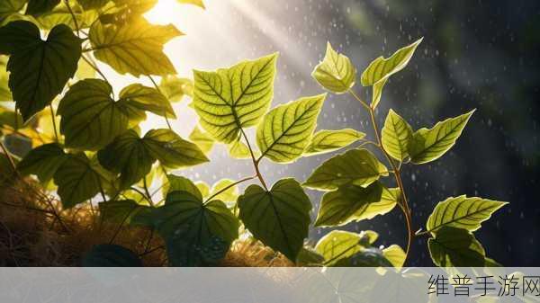 倒插莲花是什么样子的:1. 倒插莲花:逆境中绽放的生命之美