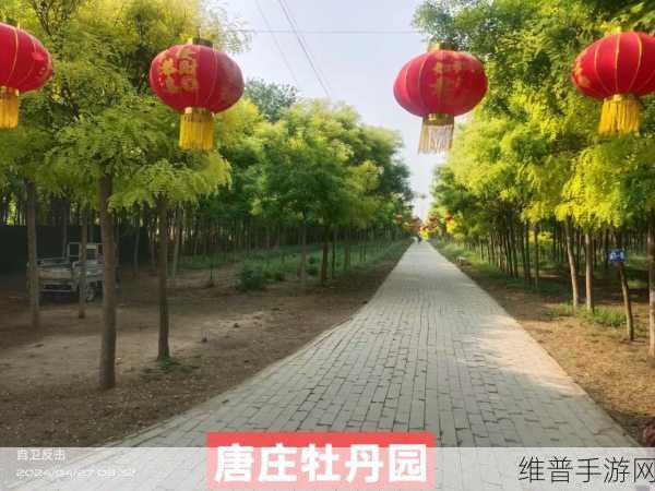 日韩一卡2卡三卡4卡国色天香:1.日韩卡牌对决:国色天香的魅力与策略