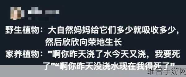 娇生惯养3pH笔趣阁：1. 娇生惯养：三人之间的禁忌之恋