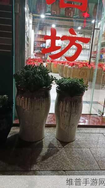 老公每天晚上吃小花园合适吗:当然可以,以下是一些扩展后的标题建议: