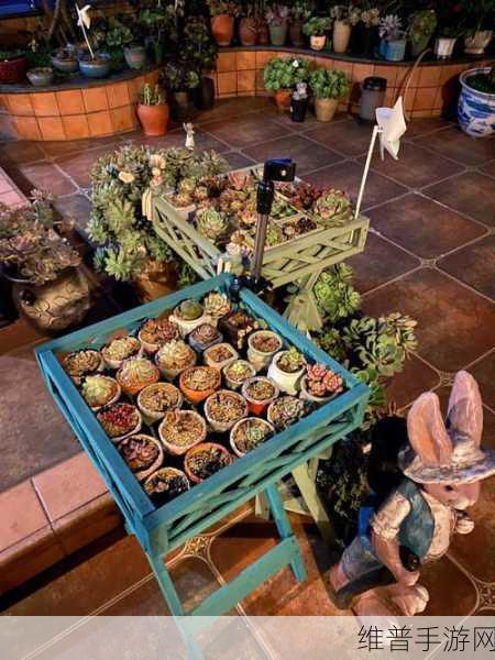 老公每天晚上吃小花园合适吗:当然可以,以下是一些扩展后的标题建议: