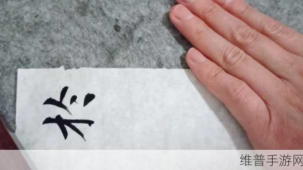 白洁的学生晶晶给钟成的一封信：晶晶致钟成的信：青春岁月中的真情告白