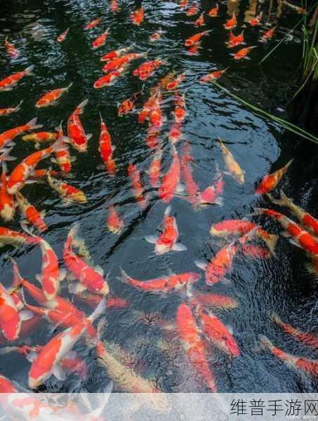 倒插莲花是什么样子的意思：1. 倒插莲花：逆境中的坚韧与美丽