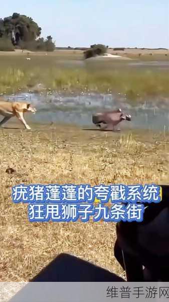 鼓蓬蓬的牦户：1. 鼓蓬蓬的牦户：探索藏族文化的新维度