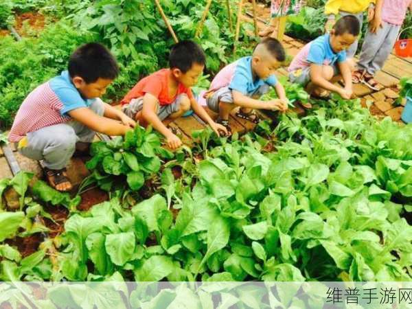 我的二人世界拔萝卜体验：当然可以！以下是一些关于“二人世界拔萝卜体验”的新标题建议，每个都不少于10个字：