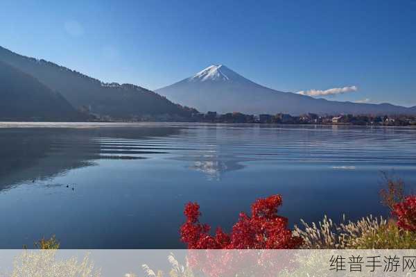 tubejapan：1. 探索日本的地下文化：Tube Japan 带你领略不一样的风景