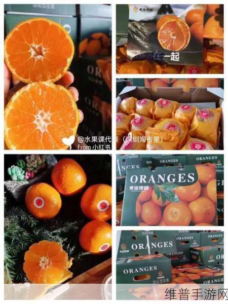 玉杵入牦户天下一奇吃橘带皮：1. ＂探秘奇食：橘子带皮的独特风味与营养