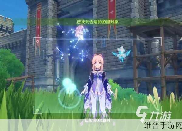 原神容彩诗镜其一拍照任务全攻略