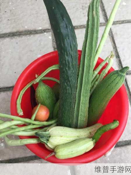 小猪草莓丝瓜深夜释放自己歌词探索:1. 深夜释放自我的勇气与孤独