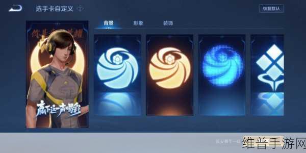 王者荣耀选手卡深度解析，荣耀象征与实力展现