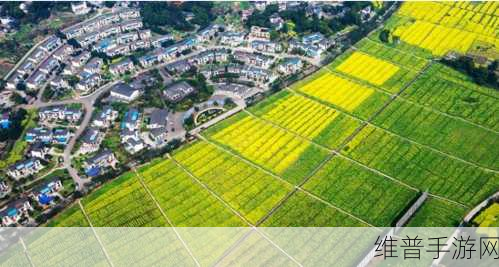 99精产三产区区别:1. 理解99精产三产区:特色与优势全面解析