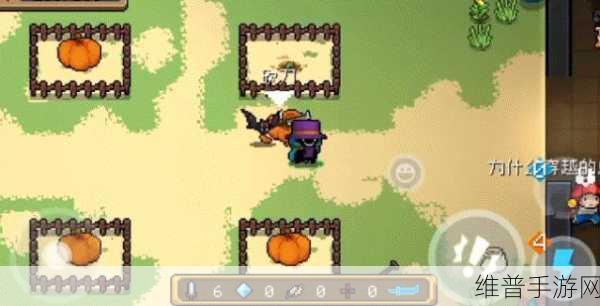 元气骑士手游攻略,揭秘南瓜怪出没的地图与高效获取策略