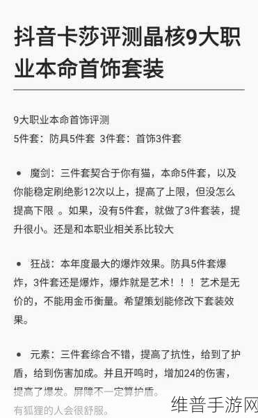 晶核COA手游新职业揭秘，深度解析与攻略指南