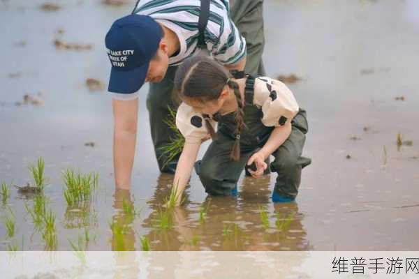 情侣插秧姿势参考绘画：1. ＂爱在稻田间：情侣插秧的温馨瞬间