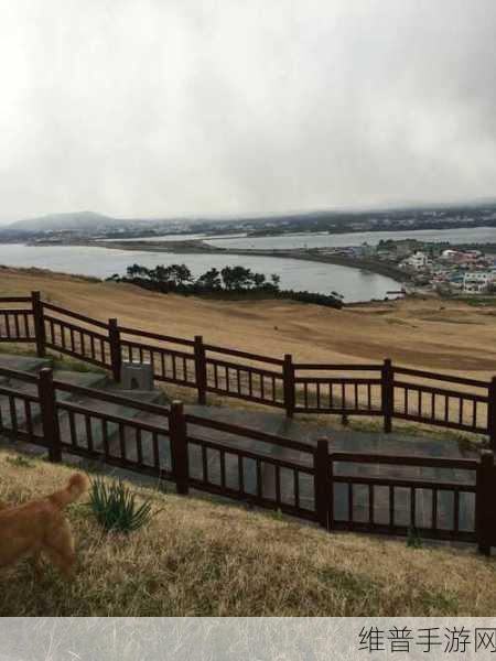 gogogo高清免费完整版韩国:1. 《追寻梦想的旅程:gogogo高清免费完整版韩国