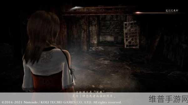 零濡鸦之巫女,豪华版与普通版详细区别一览