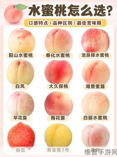 探寻精美日产nv二线三线水蜜桃的独特魅力：1. 探秘日产NV水蜜桃的鲜美与魅力