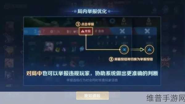 王者荣耀违规率更新与清空机制全解析