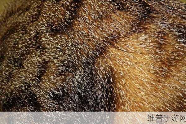 AAAA级毛皮最火的一句图片还原度清晰：1. ＂探索AAAA级毛皮的极致细节与真实还原