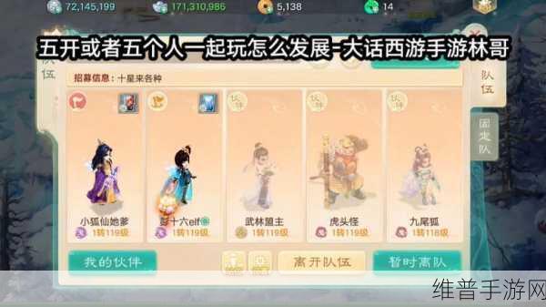 高玩深度解析，大话西游手游伙伴选择策略