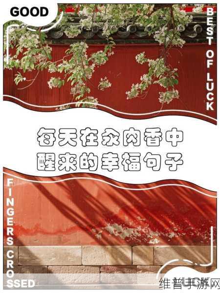 每天都在汆肉中醒来:1. 每天清晨与汆肉的邂逅:唤醒味蕾的新体验