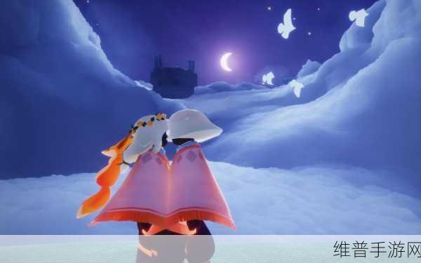 光遇花环寻觅之旅,详尽攻略与数据解析