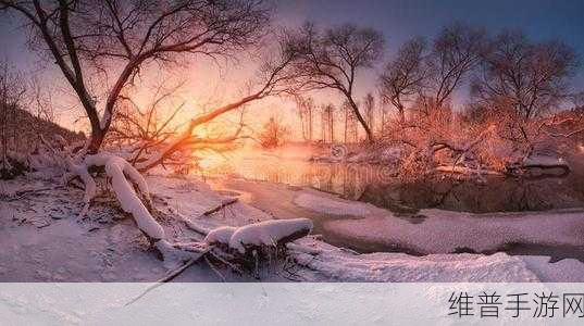 冬天的森林我和妹妹到森林去：1. 冬日森林探险：姐妹共度奇妙时光