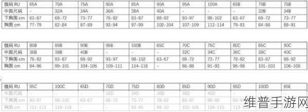 亚洲尺码和欧洲尺码对照工具箱：亚洲尺码与欧洲尺码对照指南：轻松选购无忧！