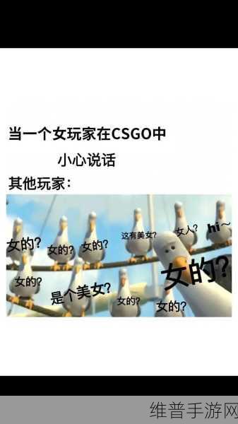 暴躁老阿姨CSGO剧情解析：1. ＂暴躁老阿姨：CSGO中的绝地反击与情谊